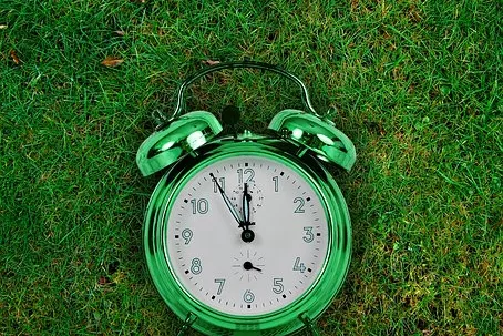 Rubrik_Naturschutz_Biodiversitaet-pixabay-the-eleventh-hour-2561609__340